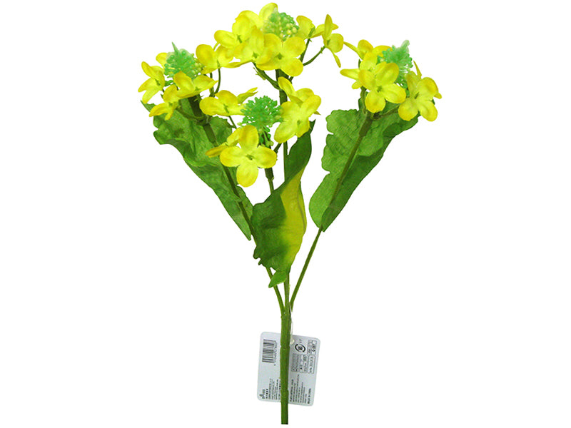Rape Blossoms Bush