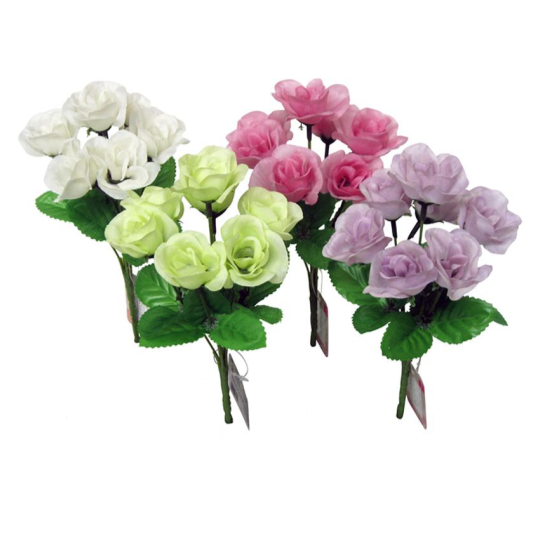 Modest Rose Bush Nature