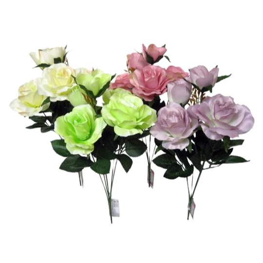 Bright Rose Bush Nature