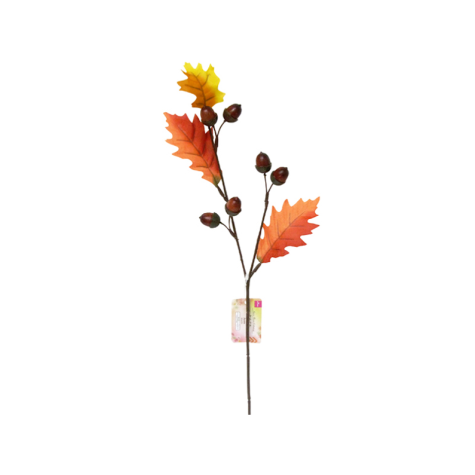 Acorn