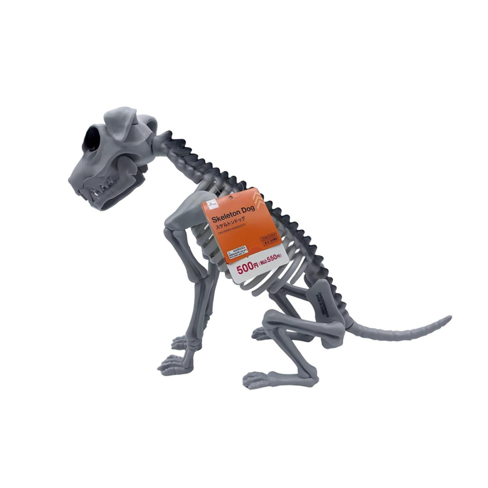 Halloween Skeleton Dog