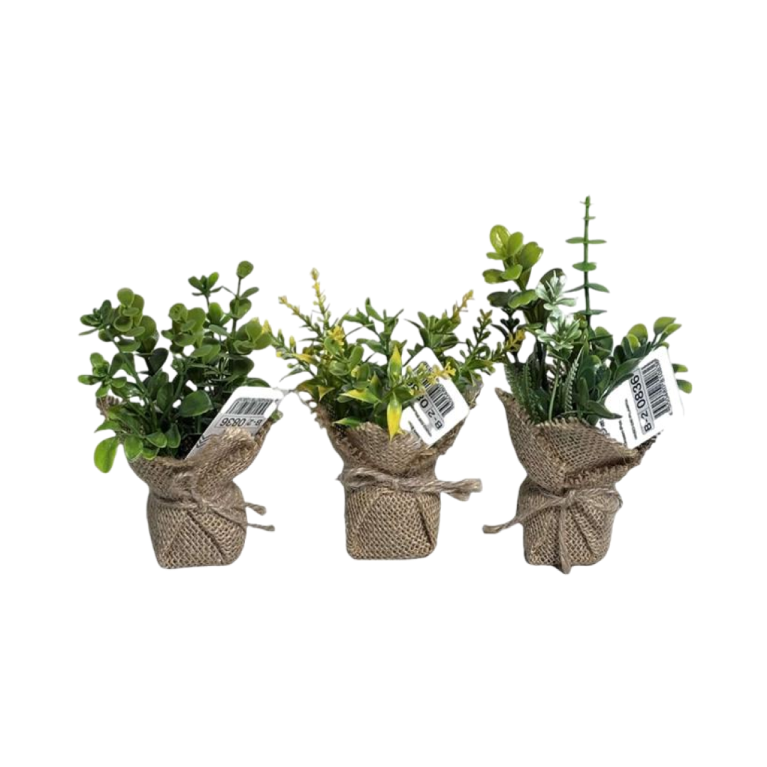 Green Pot