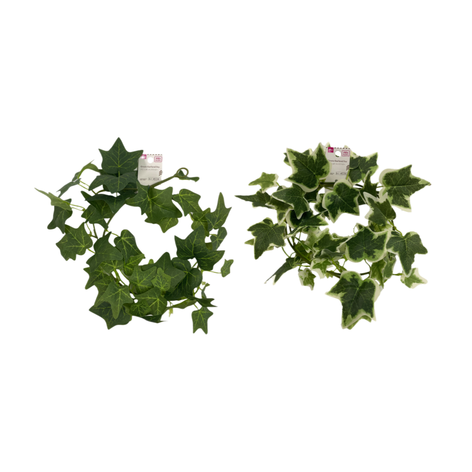 Green Garland Ivy
