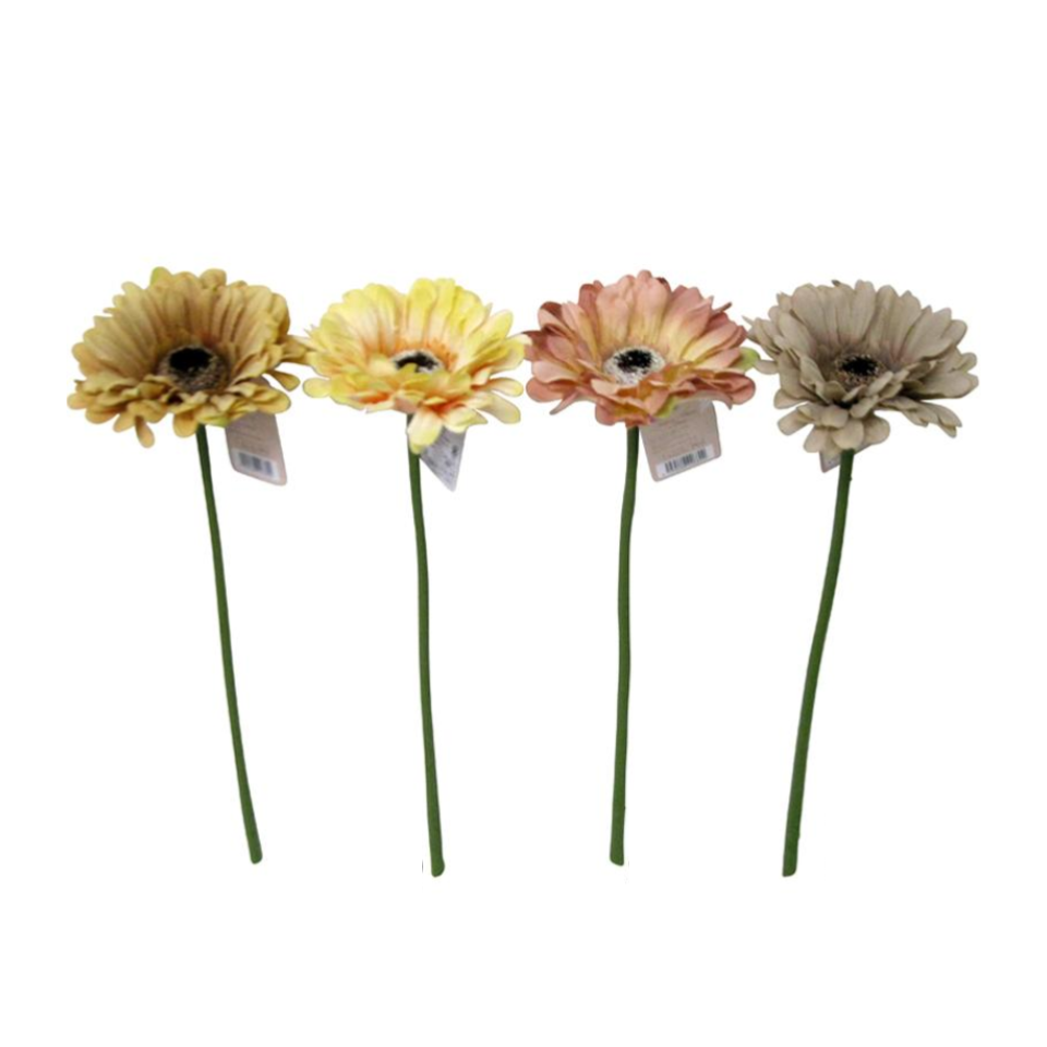 Short Stem Gerbera Nuance