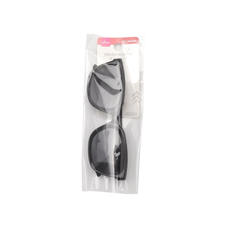 Wellington Sunglasses Black