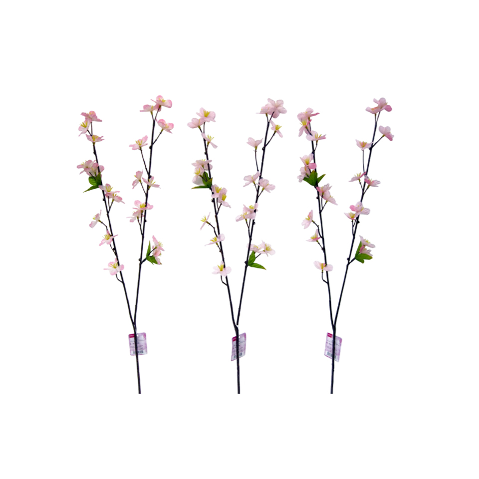 Sakura Yoshino Cherry