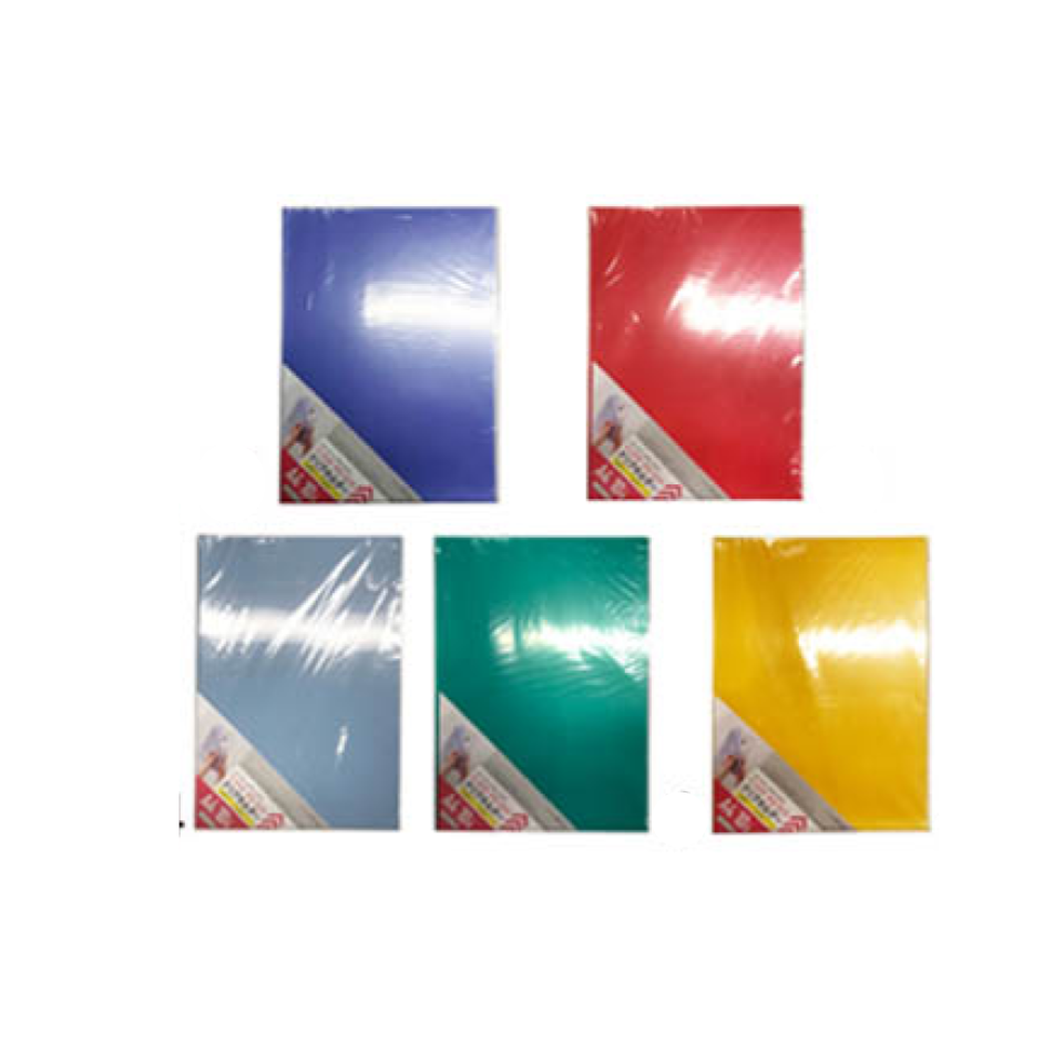 A4 Clear Holder Colored