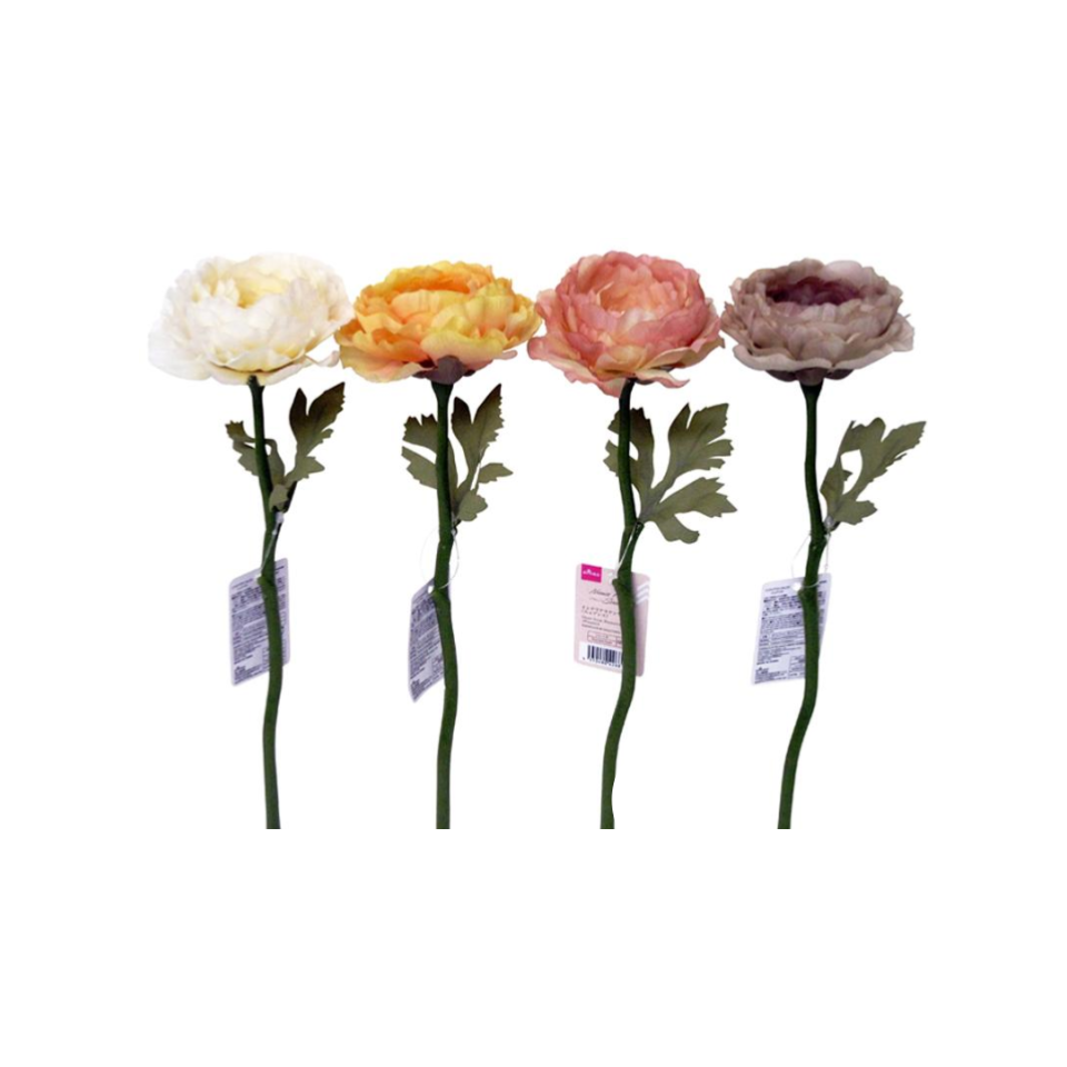 Short Stem Rununculas Nuance
