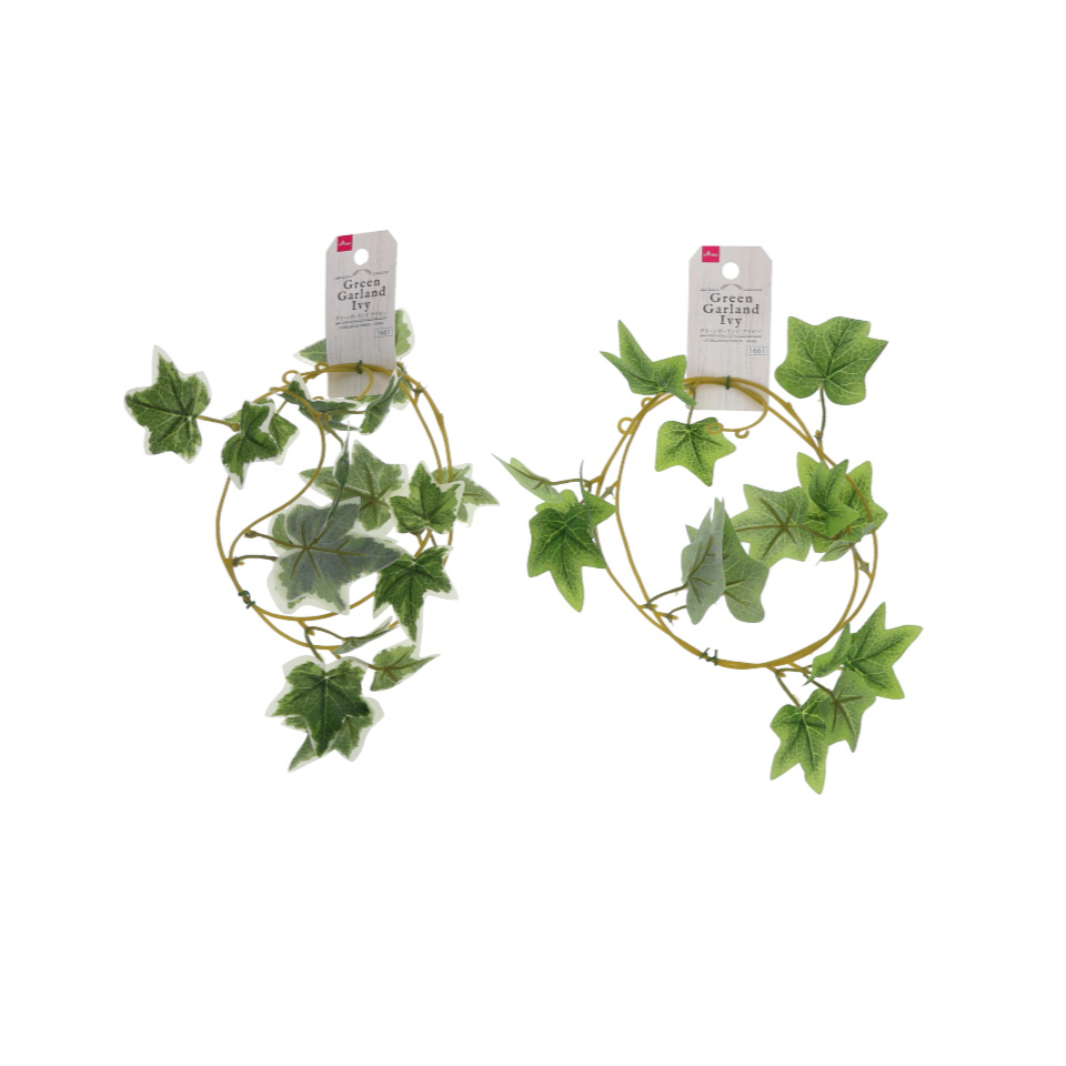 Green Garland Ivy