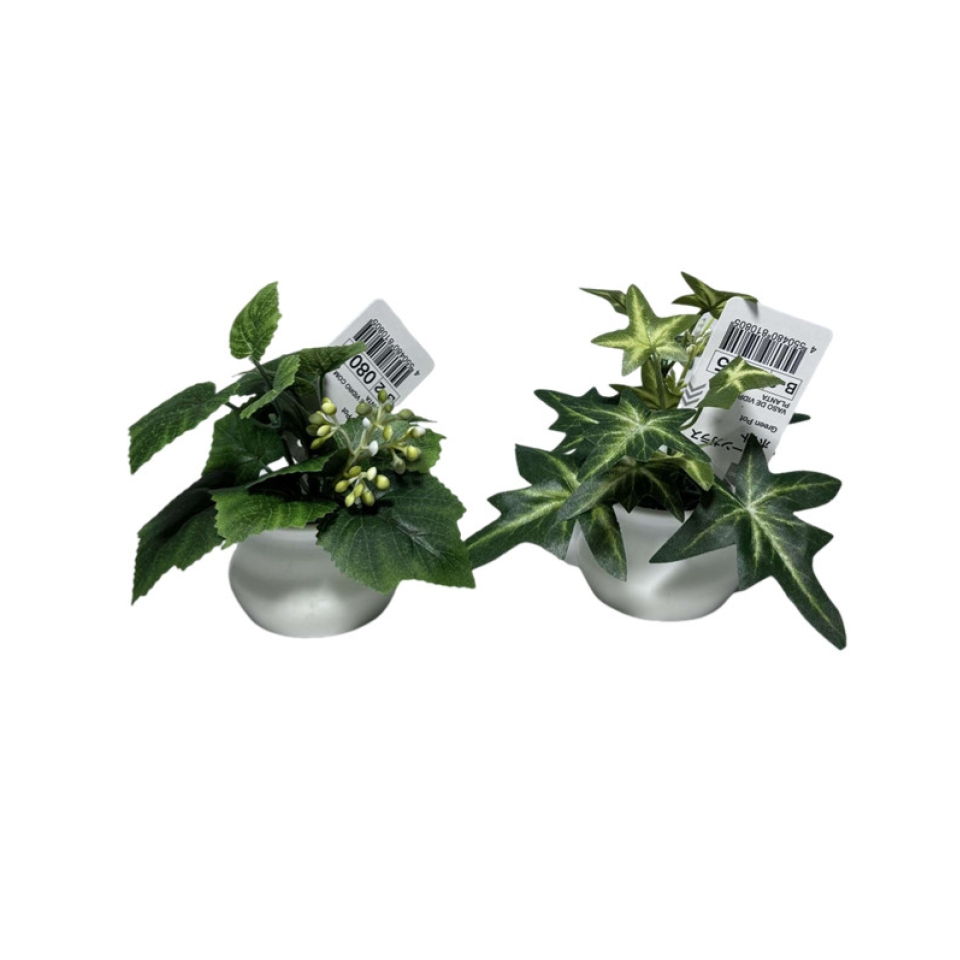 Green Pot