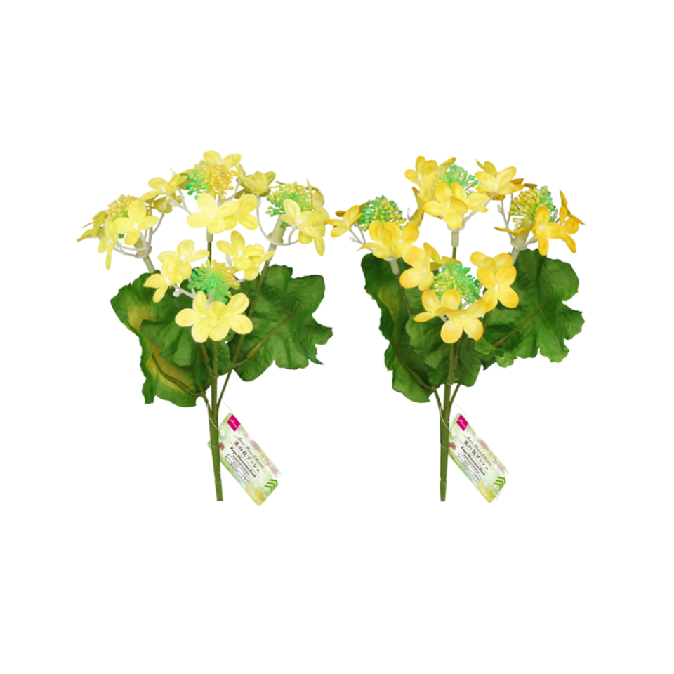 Rape Blossoms Bush