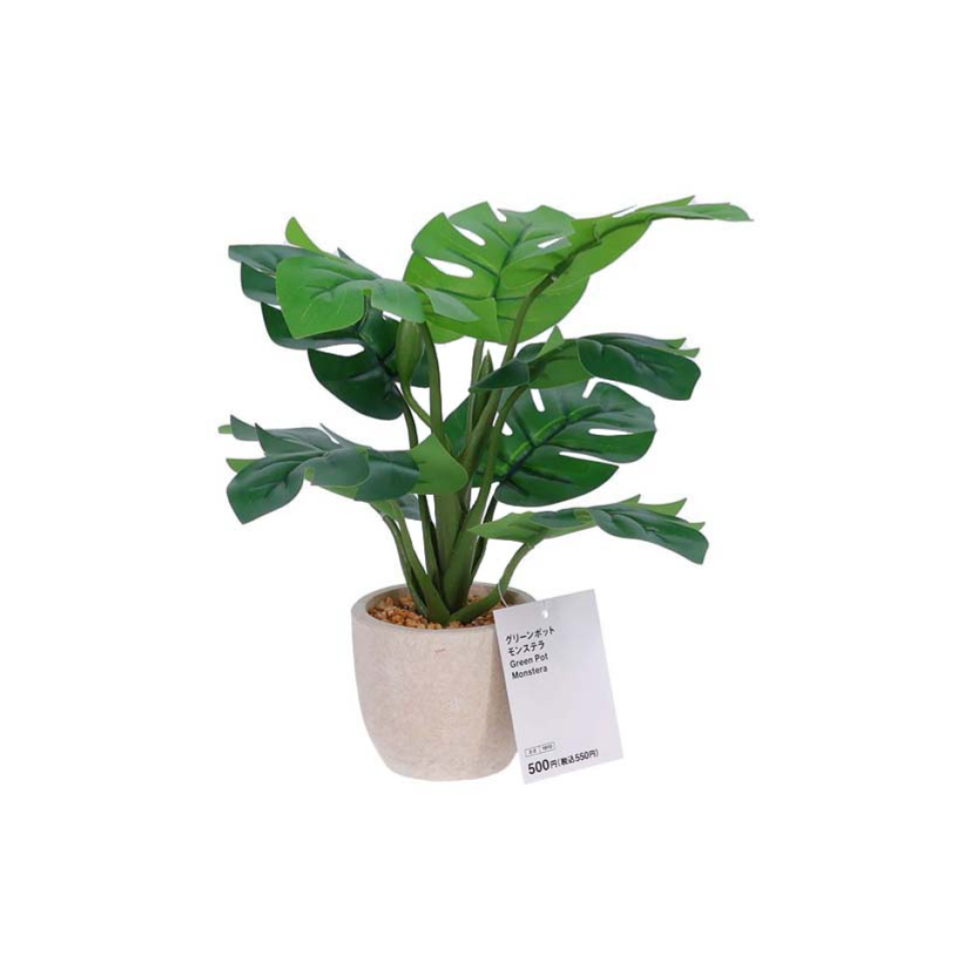 Green Pot Monstera