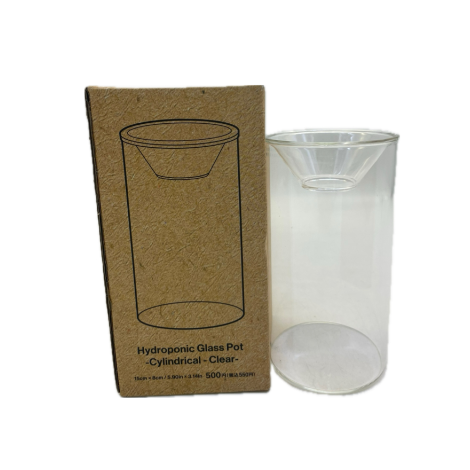 Hydroponic Glass Pot Cylindrical Clear 15cm x 8cm