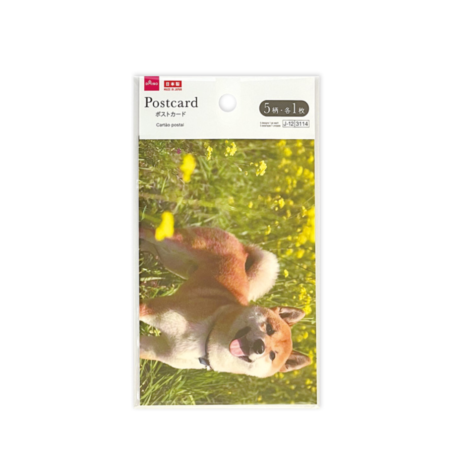 Postcard Animal