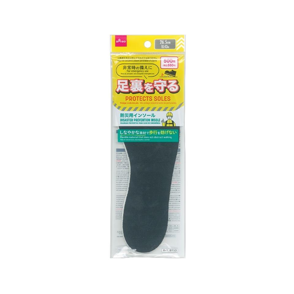 Disaster Prevention Insole