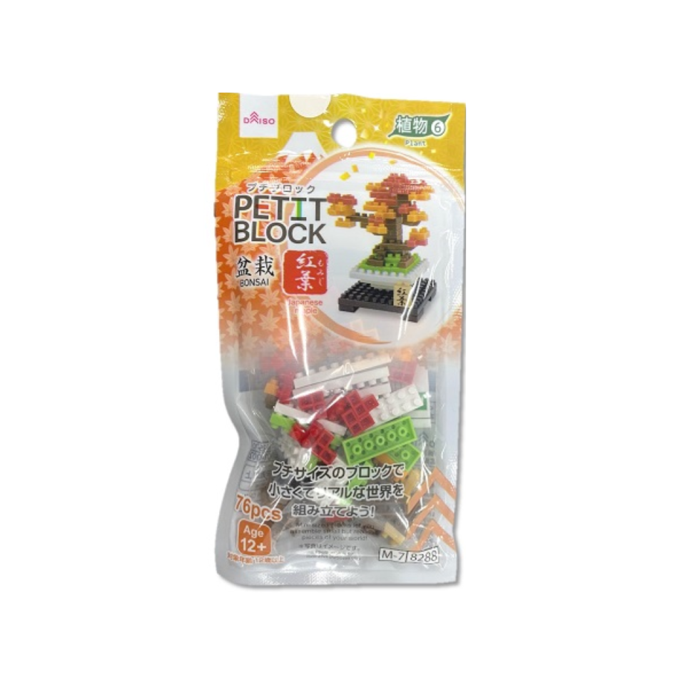 Petit Block Japanese Maple