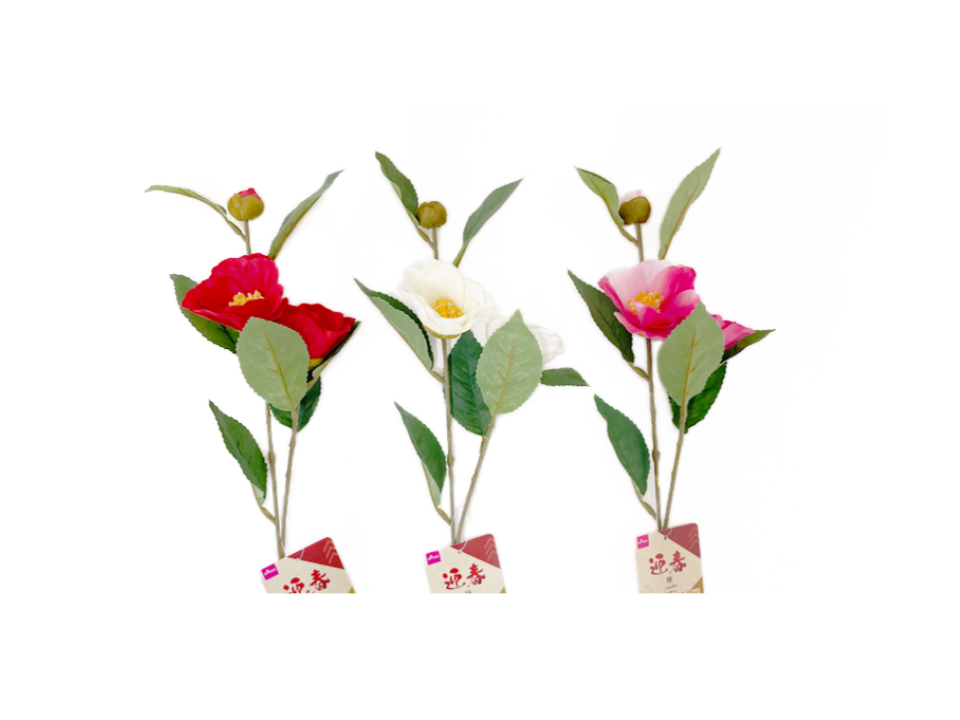 Camellia