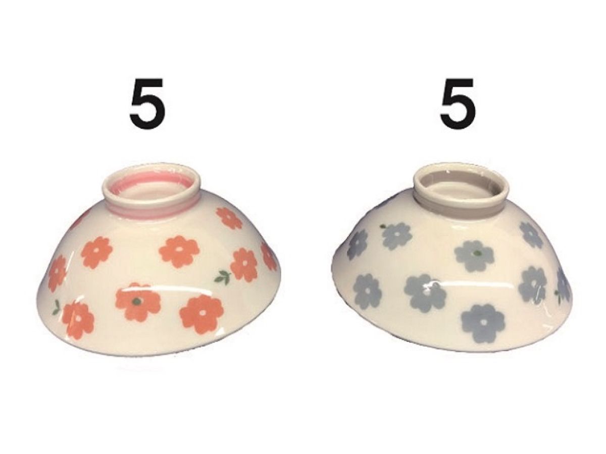 Rice Bowl Flower Garden 2Color 12Cmxh5Cm