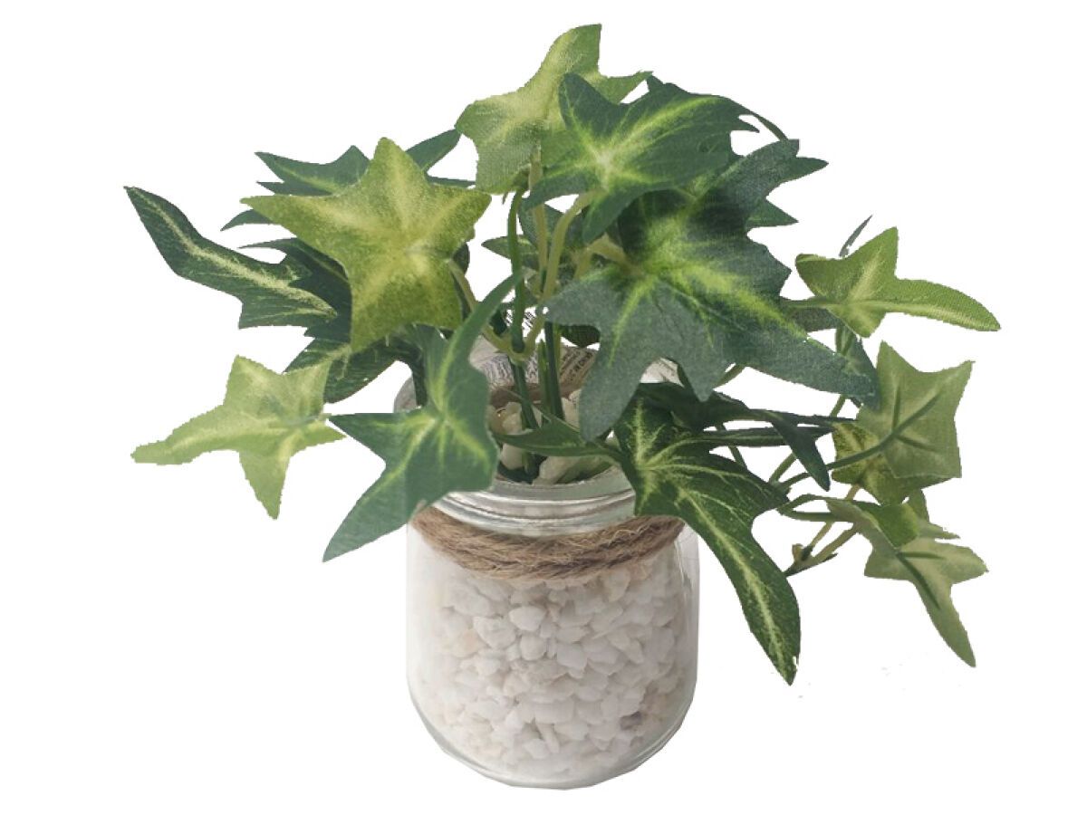 Green Pot (Height 12 Cm)