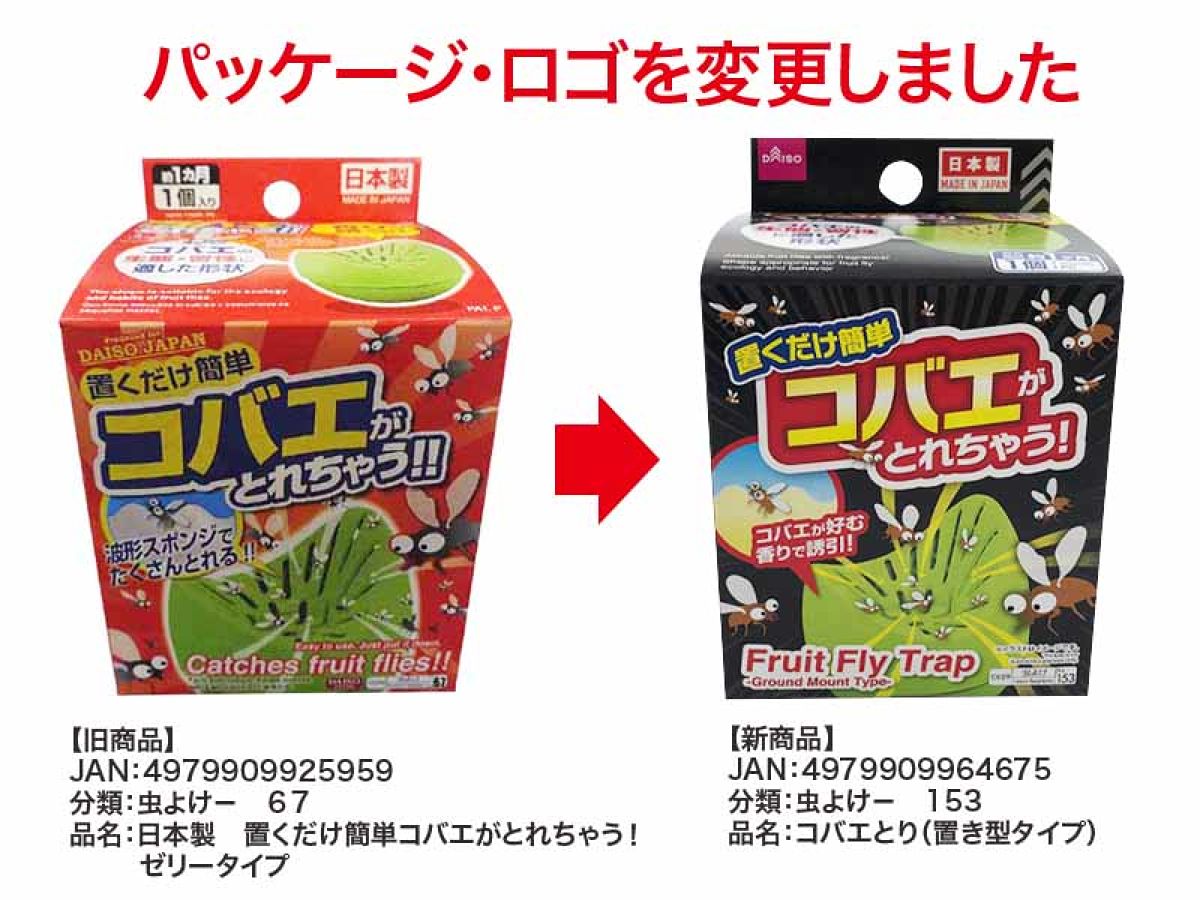 Fruit Fly Trap Ground Mount Type DAISO SINGAPORE