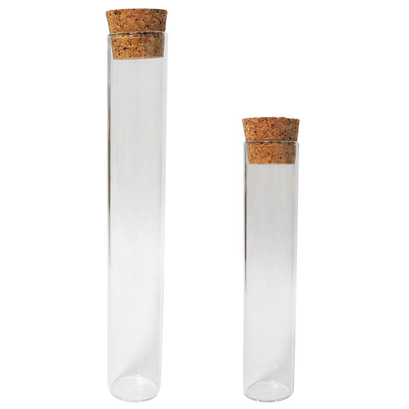 Glass Tube (For Home Decoration) DAISO SINGAPORE