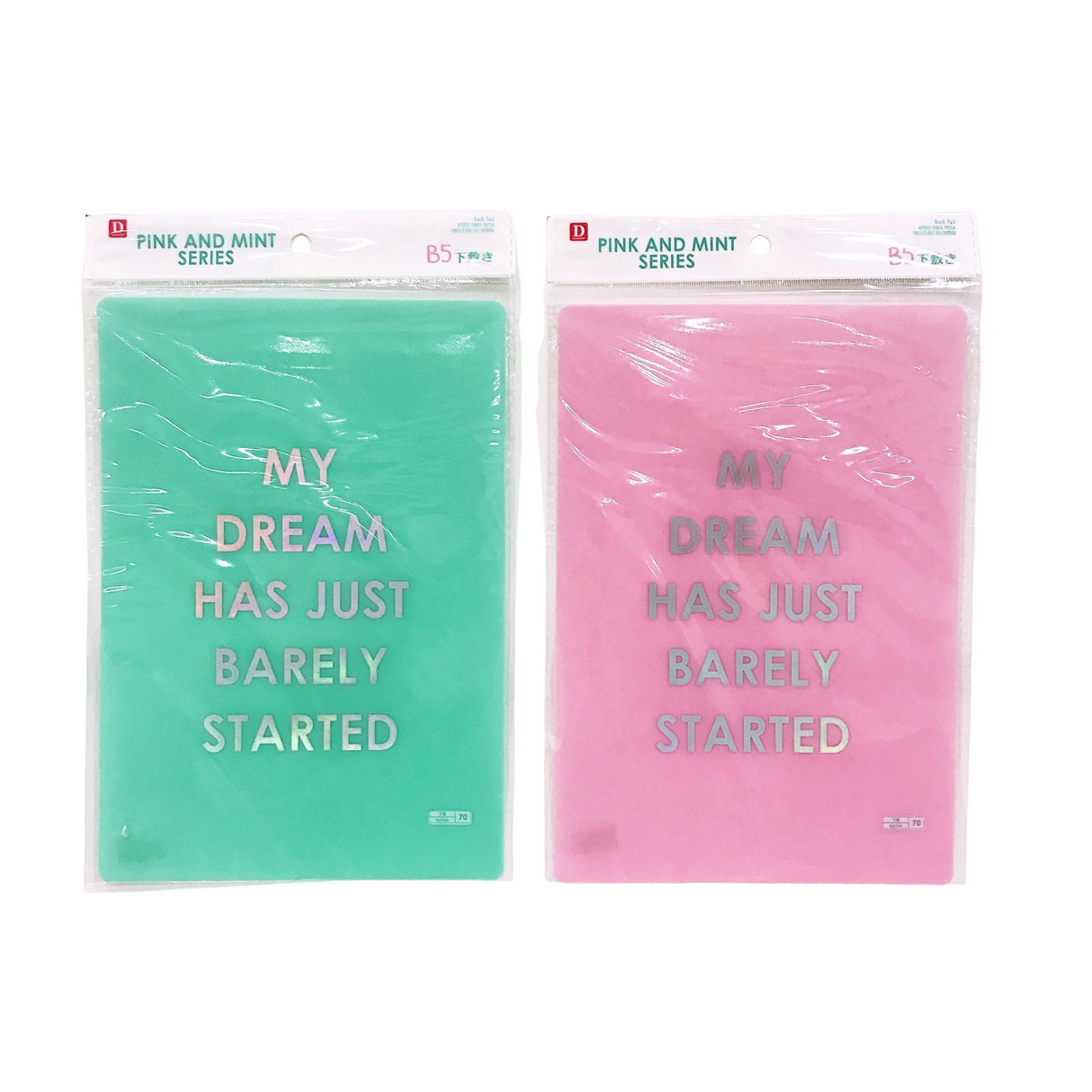 Desk Pad -Pink and Mint - B5-