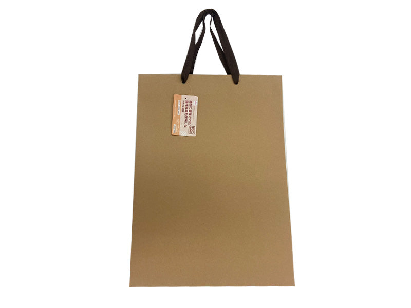 Kraft Paper Bag 1.44ft x 1.08ft x 4.33in