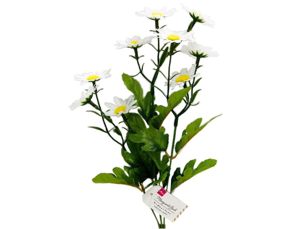 Marguerite Bush - White -