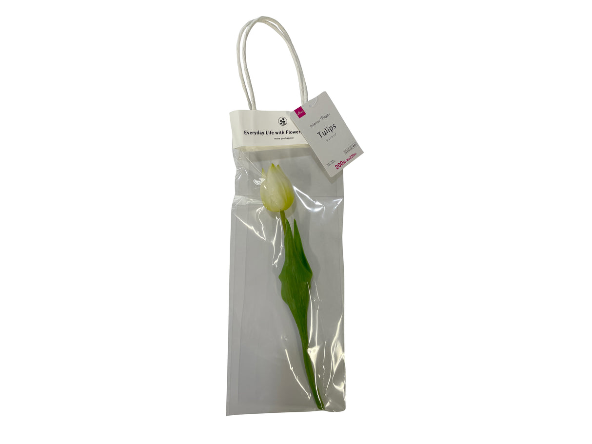 TULIPS(White)