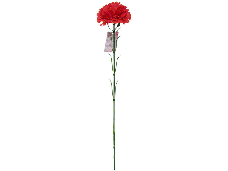 Single Carnation Red