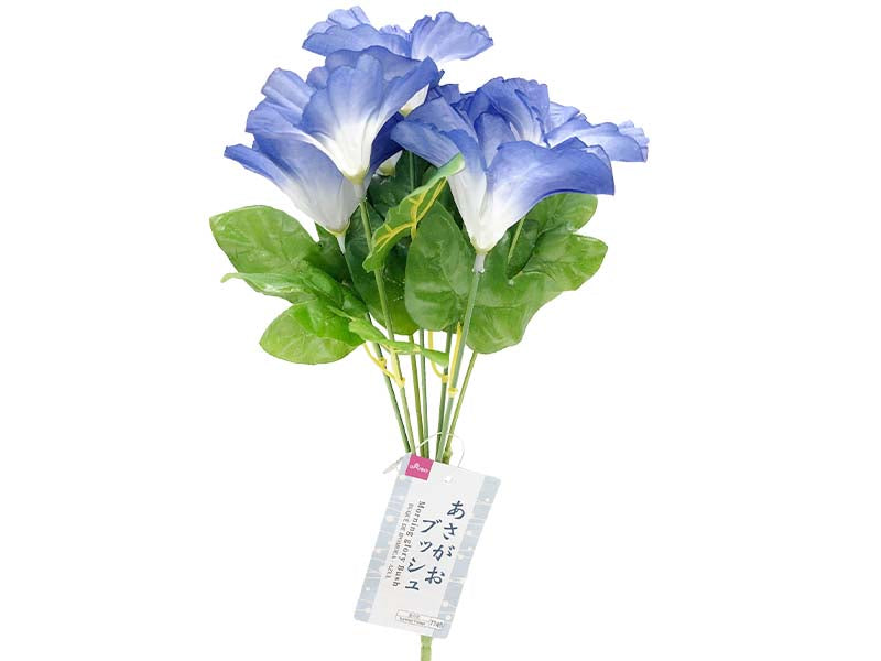 Morning glory Bush - Blue -