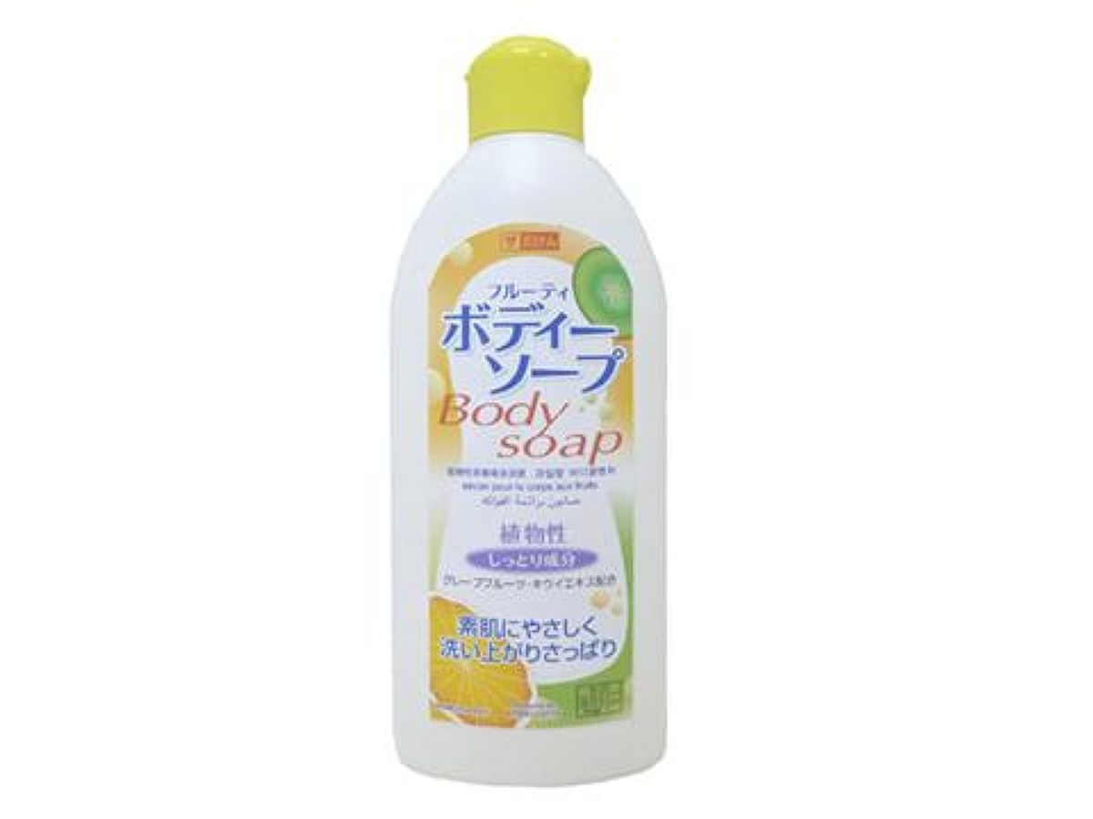 Body Soap 190ml