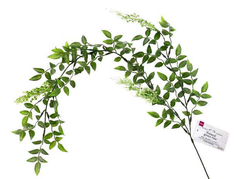 Natural Green Vine