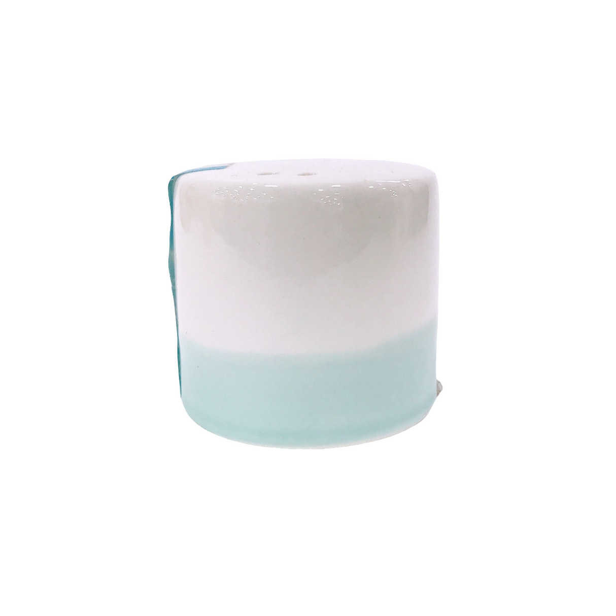 Salt or Spice Shaker 1