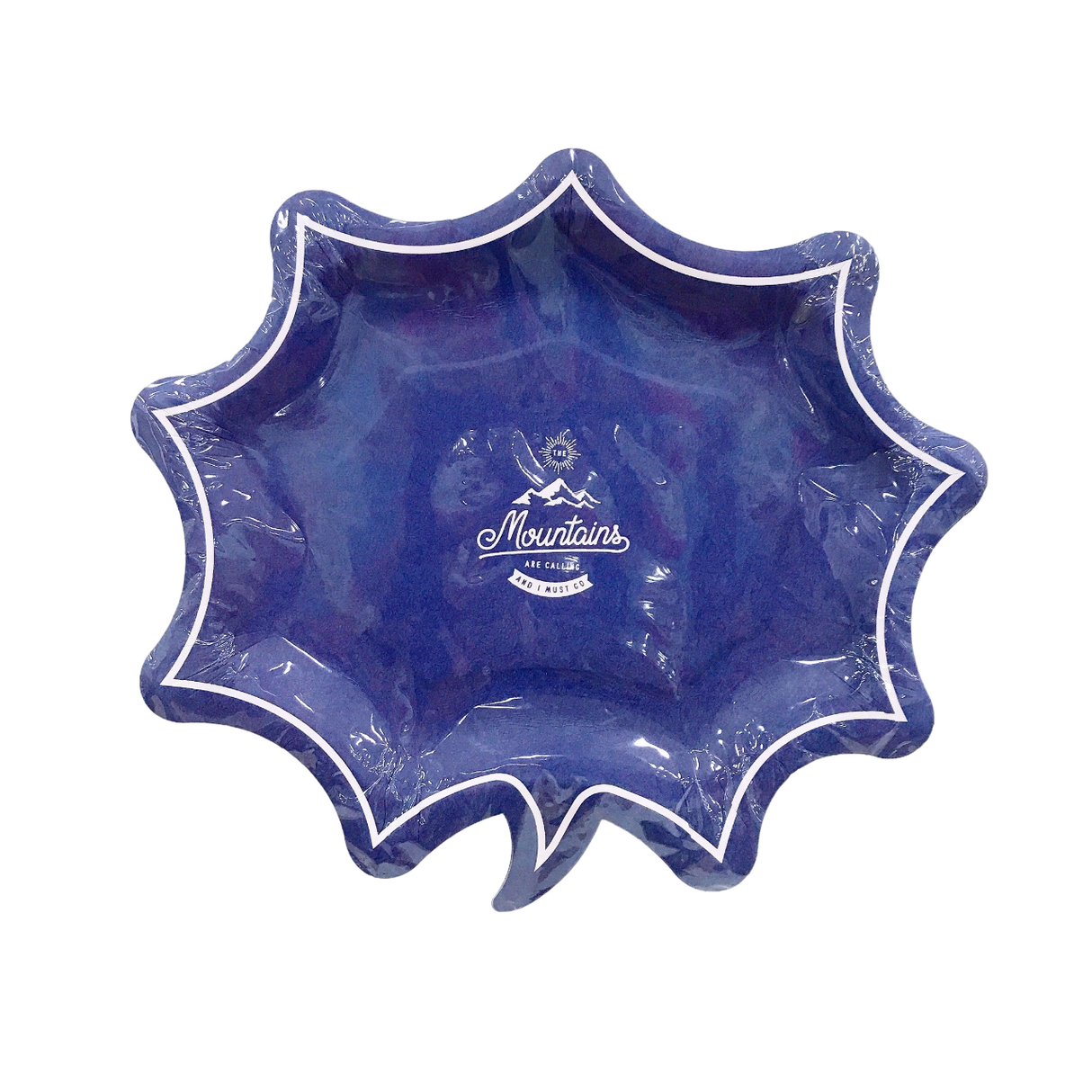 Paper Plates (Daily  Navy  5P  Burst Speech Bubble)