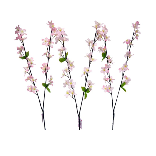 Sakura - Yoshino Cherry