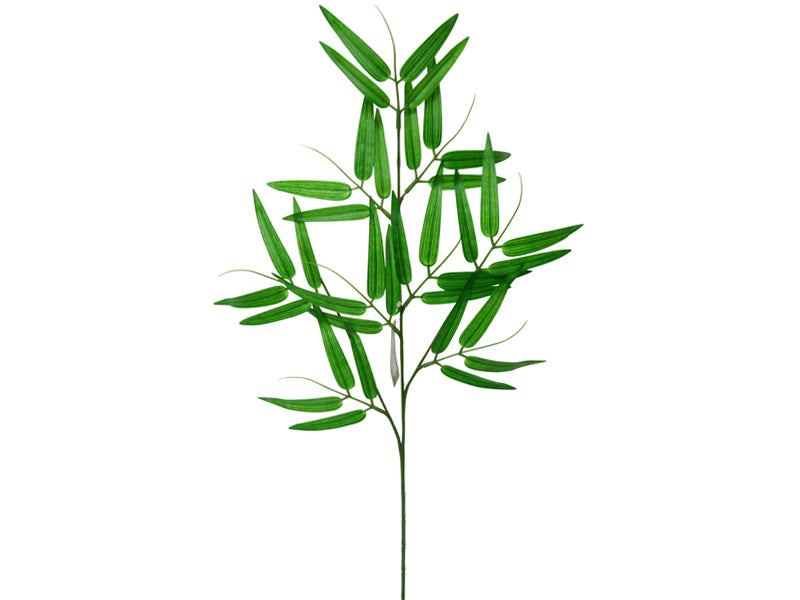 Bamboo Grass