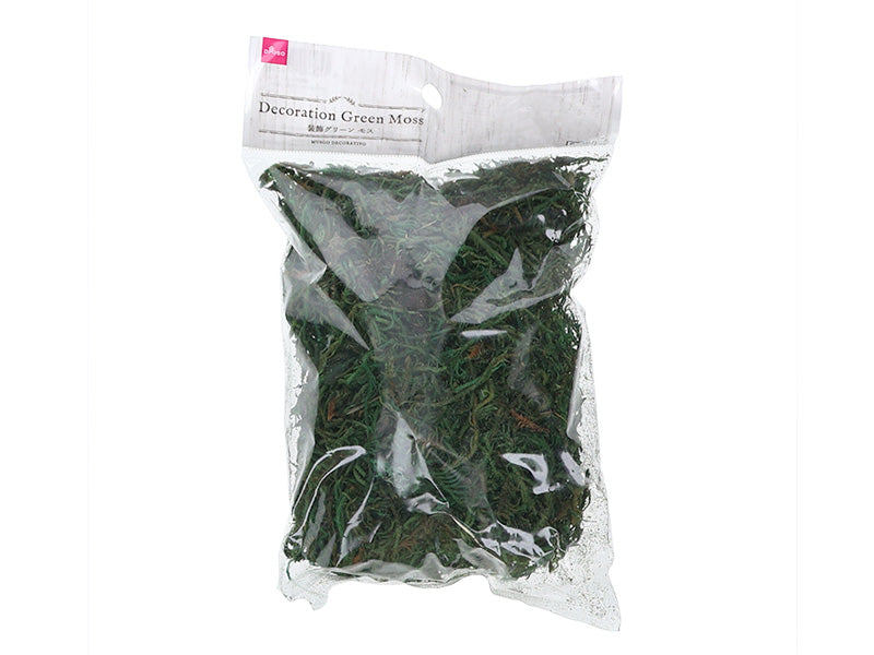 Decoration Green Moss