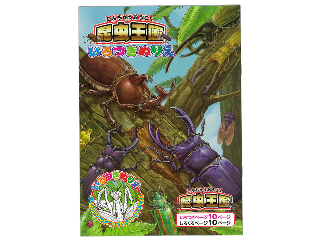 Background Colored Coloring Book Insect Kingdom