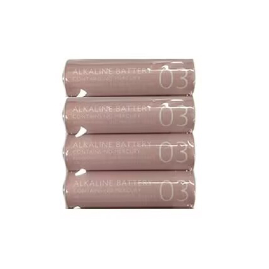 Alkaline Battery AA