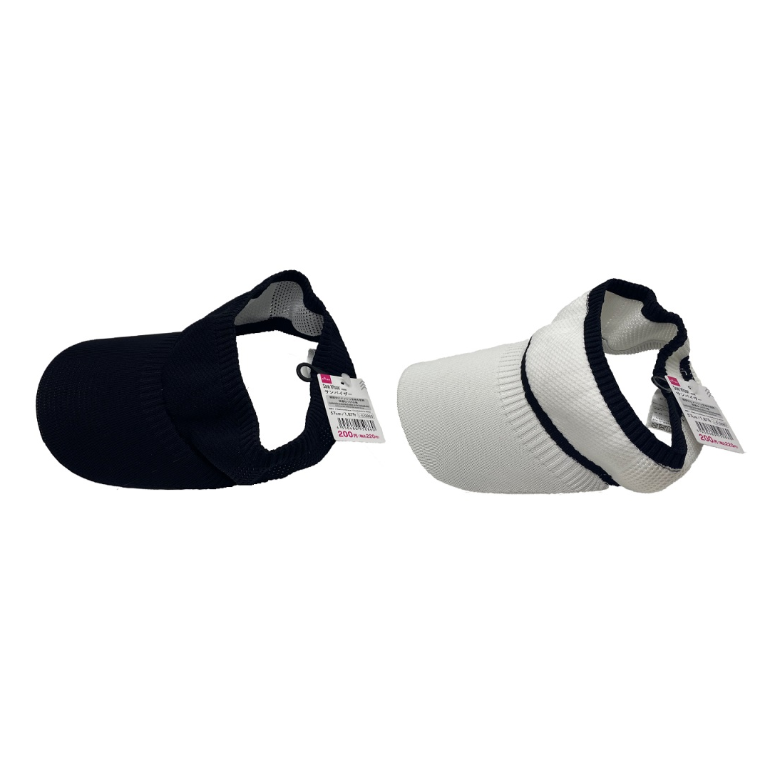 Sun Visor