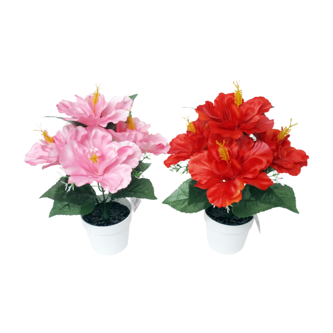 Hibiscus Pot