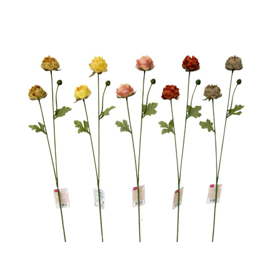 Ranunculus Spray Nuance