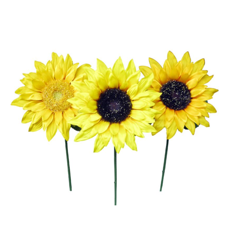 Short Stem Sunflower