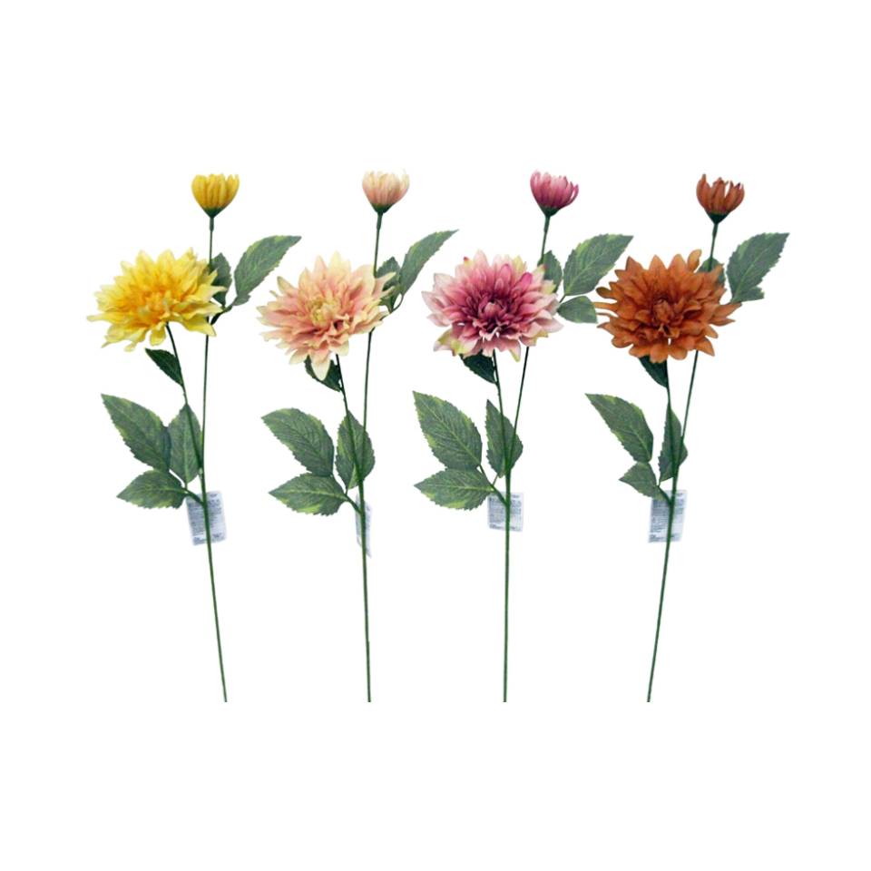 Dahlia Spray Nature