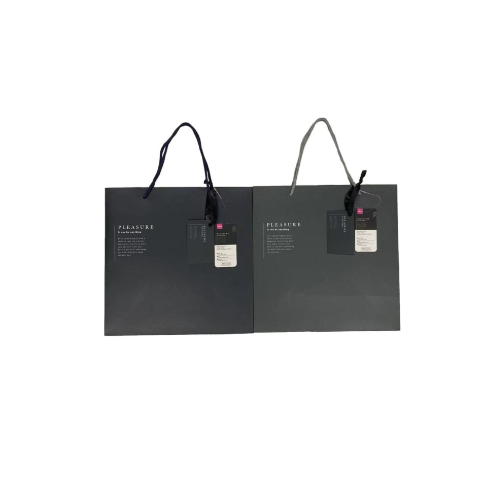 Gift Bag Everyday 27cm x 27cm x 13cm