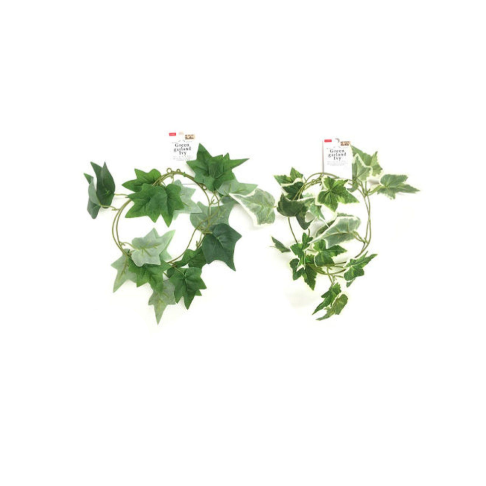 Green Garland Ivy