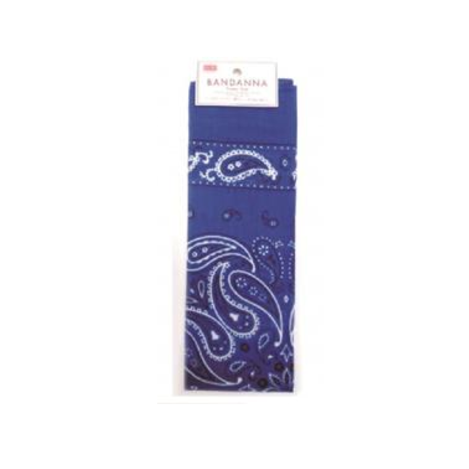 Bandanna Paisley Blue