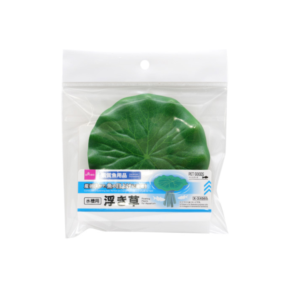 Floating Plants for Aquarium