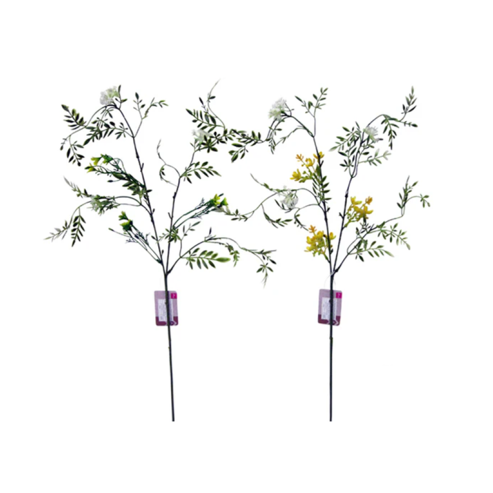 Fragrant Olive Spray Assort